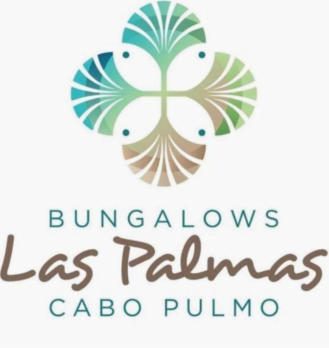 Bungalow Cirujano Daire Cabo Pulmo Dış mekan fotoğraf