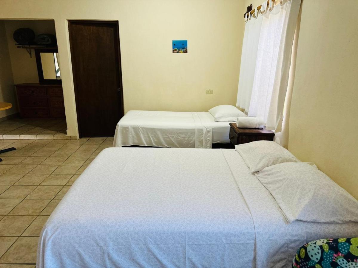 Bungalow Cirujano Daire Cabo Pulmo Dış mekan fotoğraf